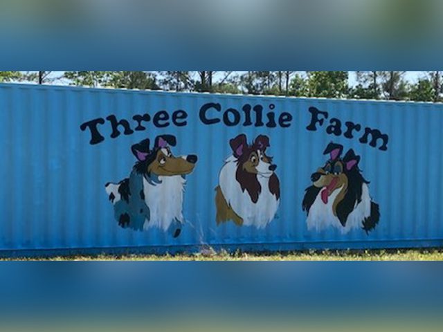 A sign with three dogs painted on it.