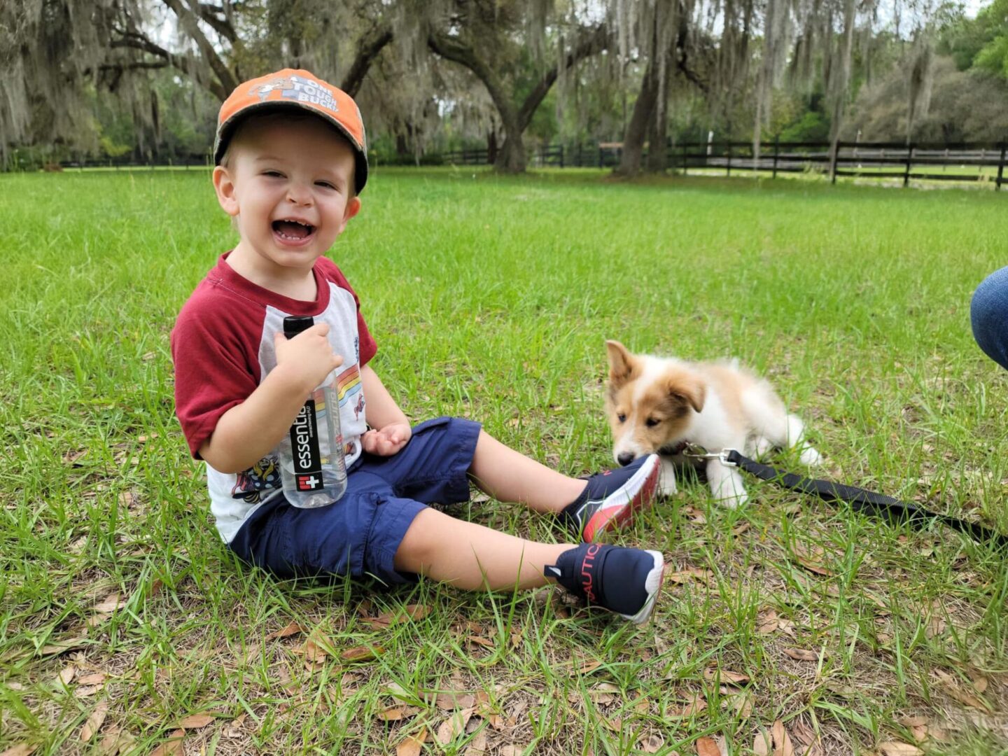 A little boy sitting on the grass with his dog.