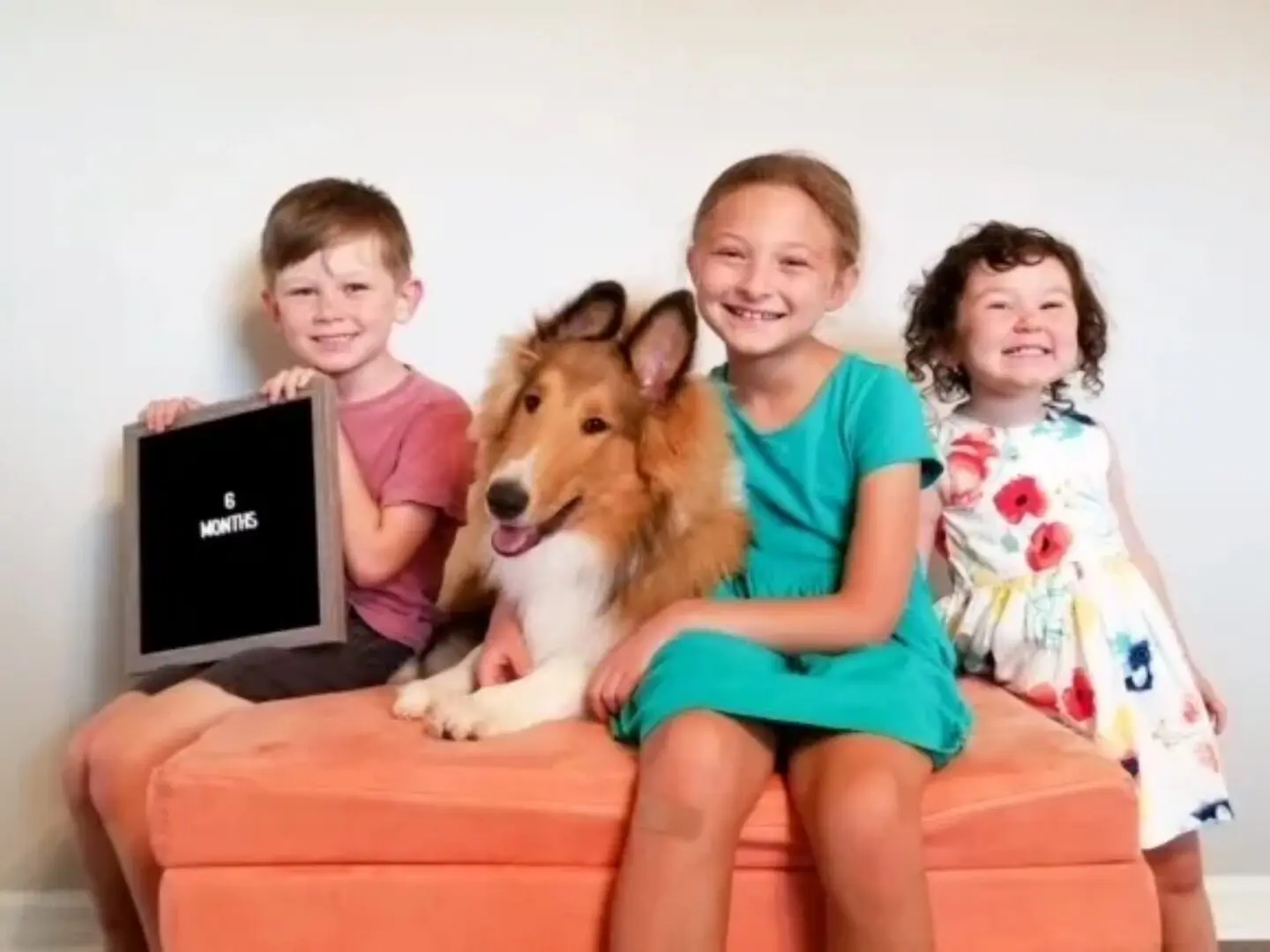 Three children and a dog sitting on the couch