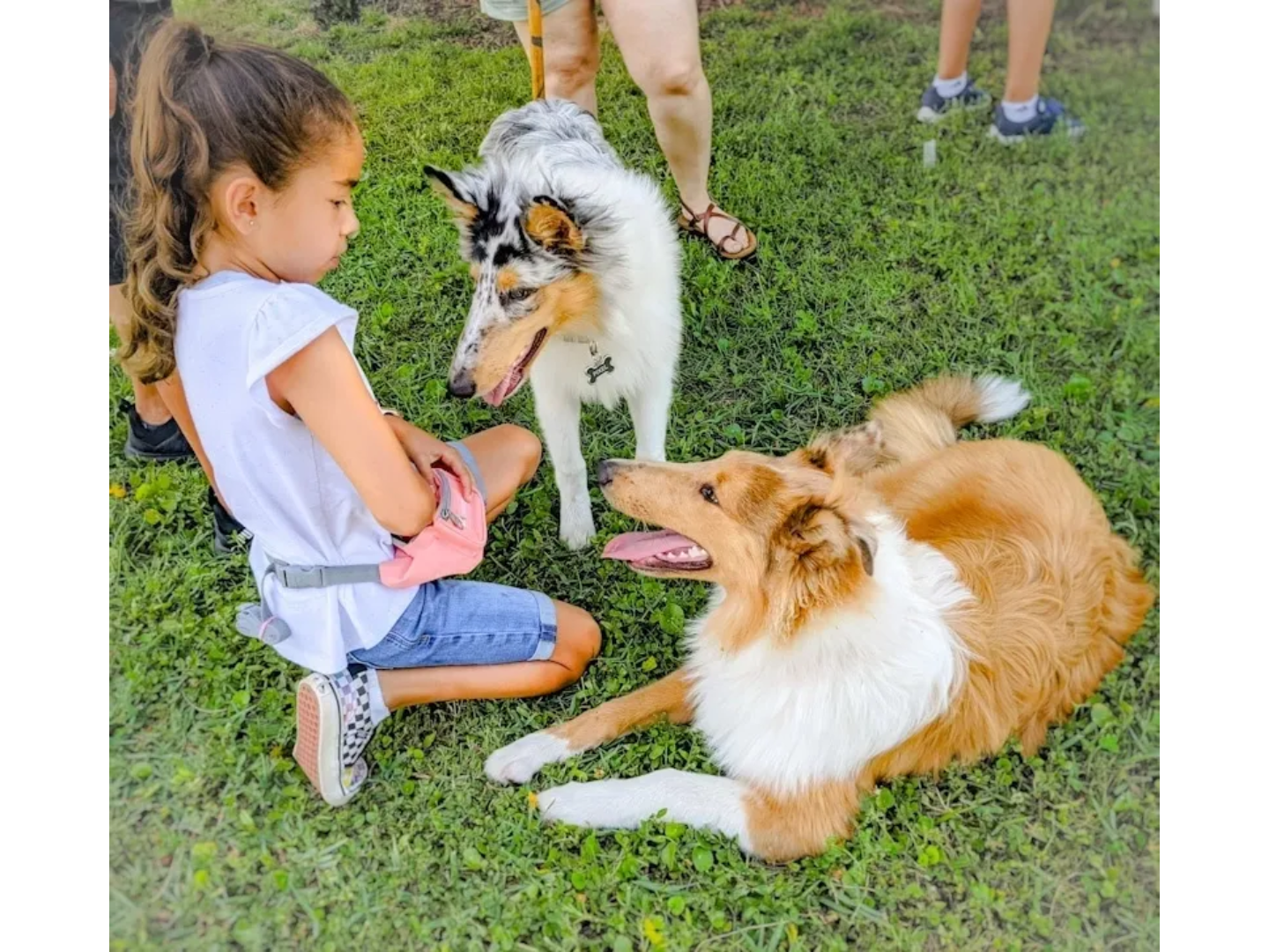 A little girl playing with two dogs in the grass.