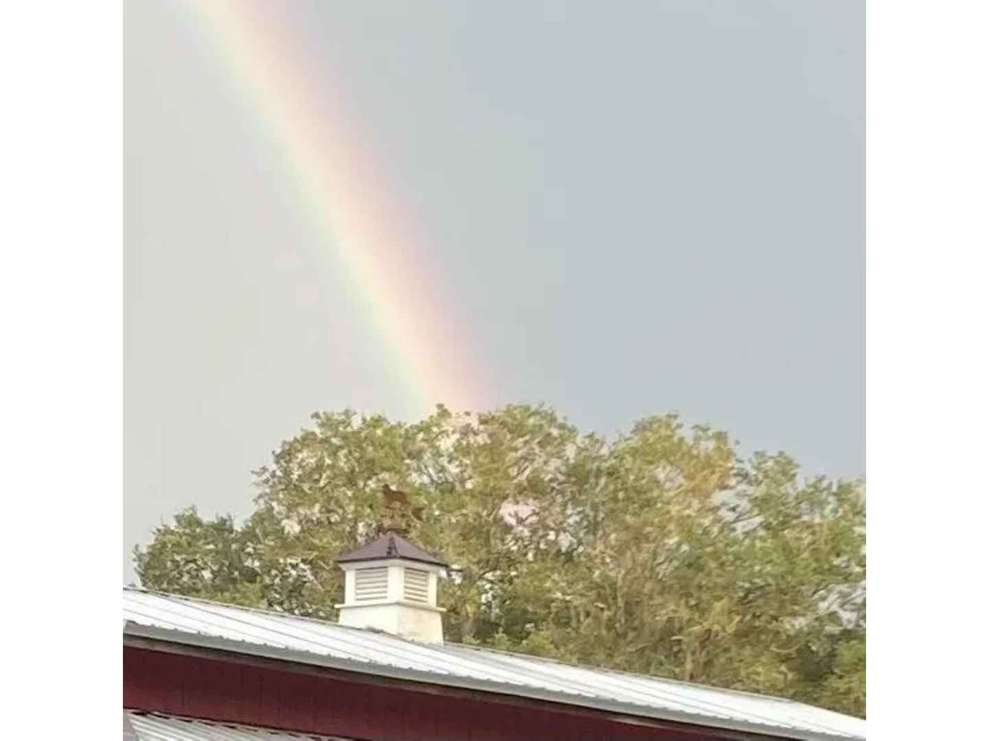 A rainbow is seen in the sky above a building.