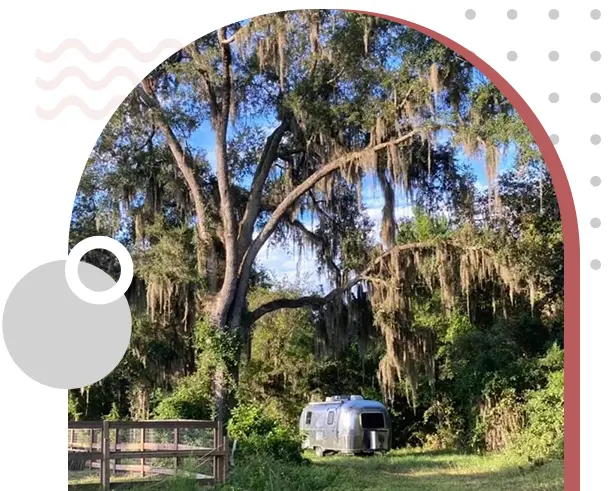 A camper parked in the woods near trees.