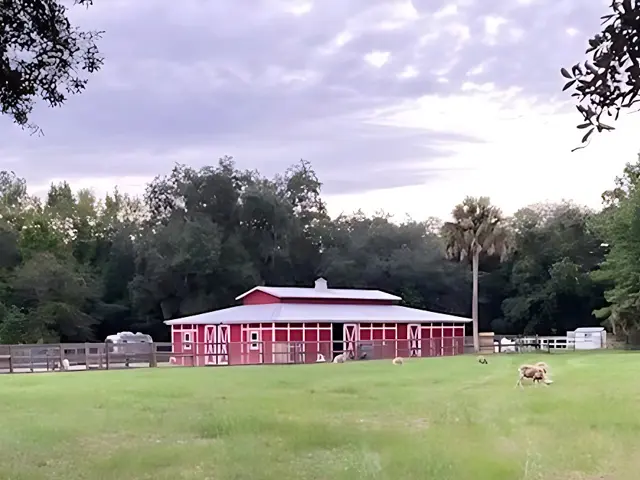 A red barn with a metal roof in the middle of a field.